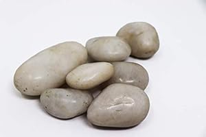 Aquagart Polierte Kieselsteine Weiß 20kg