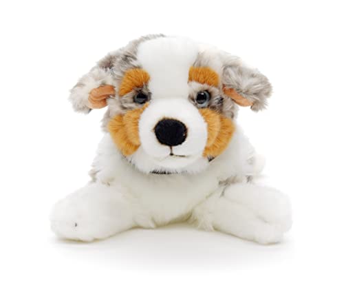 Uni-Toys - Australischer Schäferhund mit Halsband, liegend - 40 cm (Länge) - Plüsch-Hund, Haustier - Plüschtier, Kuscheltier