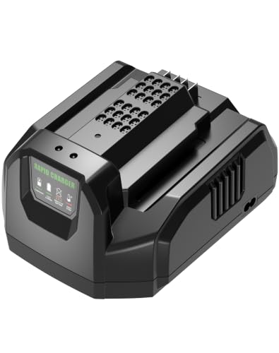 Image of CH2100 Rapid Charger Replacement for EGO Charger