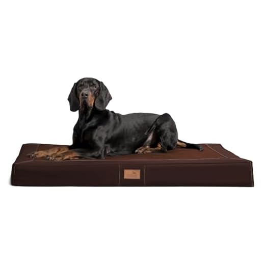 Best For Pets Orthopädisches Hundebett Katzenbett Hundekissen Viscomatte Ortho-Medic VISCO (35x45x4 cm) 9 tierlando Oscar VIP Ortho Hundematratze Kunstleder Velours Orthopädisches Hundebett VISCO Größe: OS5 120cm | Farbe: AL-01 Braun
