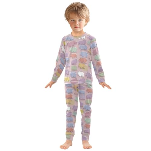 Pajama Sets Long Sleeve Colorful Hippo Pattern on Fabric Soft Comfy Sleepwear 2 Piece PJS 3-8T2