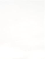 Vista 6 de JAM Paper - Etiquetas de dirección de envío - Envío estándar - 2 x 4 - Blancas - 120/Paquete