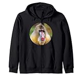 Colección de monos mandril