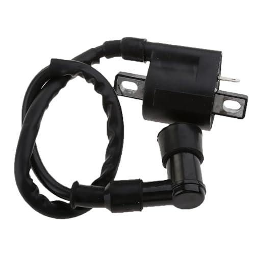 Bobina de encendido para moto TW200 y ATV con cable de 300 mm