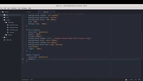 PHP for e-Commerce Video Training Course in 1 DVD (20+ Hours) Complete Guide of Making e-Commerce website like Amazon & Flipkart (in English) | No... - Image 5