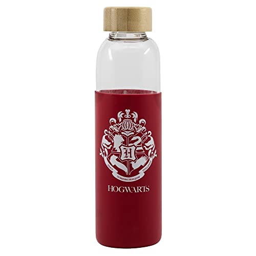 Stor Harry Potter - Bouteille en verre Format 585ml