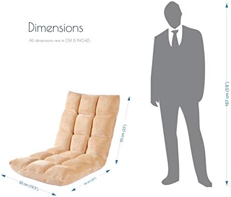 Corvids Recliner Floor Chair with Back Support for Gaming, Relax, Meditation with Memory Foam Cushion & 6-Point Adjustable backrest, CFS-02-BG (Beige, 22 x 22 x 24)