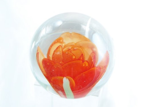 Tripact Inc M Design Art Handcraft Orange Rose Handmade Art Glass Paperweight Pw-019 #TOP1