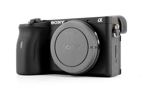 Sony Alpha 6600 | Appareil Photo Numérique Hybride APS-C ( 24,2 MP, AF en 0.02s, Suivi des Yeux, stabilisation interne 5 axes, 4K HLG, Ecran Selfie Vlogging, Batterie Haute Capacité )