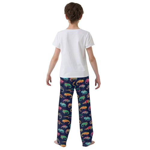 Ethnic Chameleon Boys Long Pants Soft Trousers Elastic Waist Kids Lounge Bottoms with Pockets S-XL3