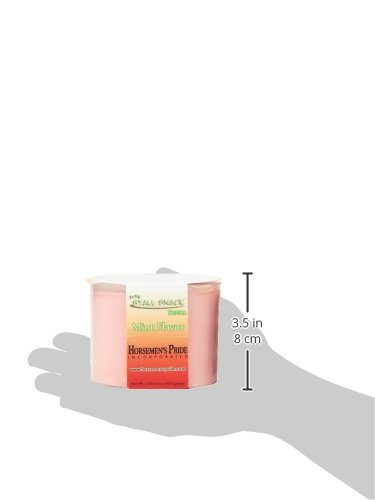 Horsemen's Pride Treat Refill for Stall Snack Holder Mint - Image 4