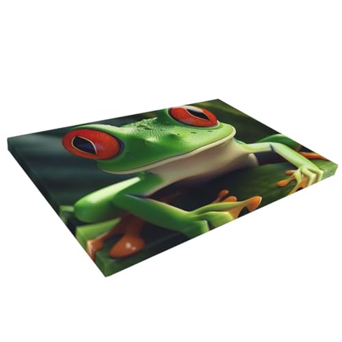 Impression toile grenouille mignonne HD 40x60 cm pour salon - 7