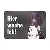 Großer Münsterländer - Hier wache ich! Premium-Schild für den Gartenzaun & Grundstück, Warnschild, Sicherheit, Deko & Geschenk, UV- und wetterfest, Alu-Verbund, 24 x 16 cm - Made in Germany