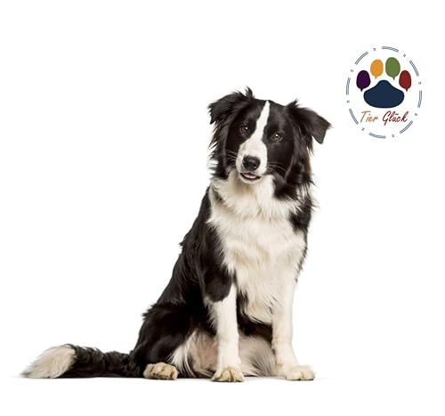 Trade Teamwork® Alerg´Pulver mit Zistrose, Ingwer & Schwarzkümmel - Für Hunde 250g / Hergestellt in Österreich