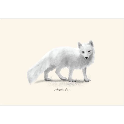 Image of Earth Sky + Water - Western Mammal II Assortment Notecard Set - 8 Blank Cards with Envelopes (2 each of 4 styles)