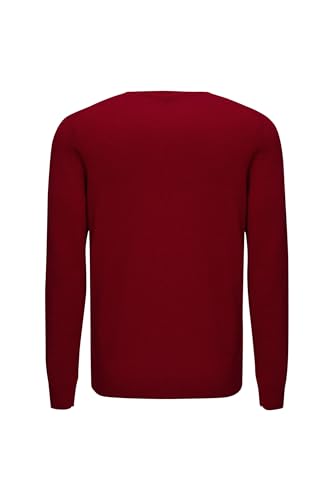 EURKEA Men's V-Neck 100% Cashmere Sweater, Long Sleeve Pullover, Gifts Ready2