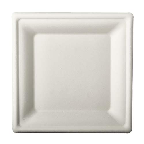 Papstar – 1 x 100 platos de caña de azúcar, rectangular, 20 x 20 cm, color blanco