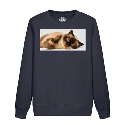 Sweat enfant chaton siamois endormi idéal pour les journées cocooning