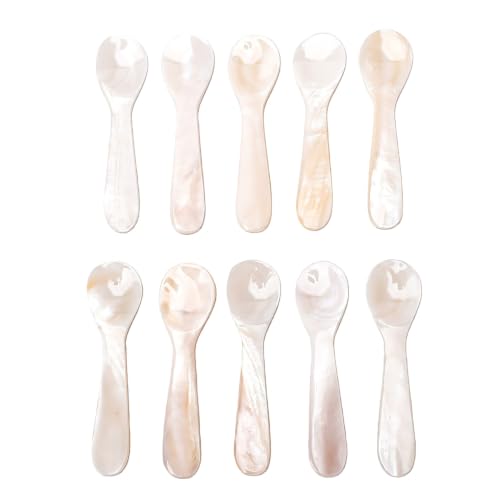 Cucharas pequeñas de concha natural blancas, artesanía sofisticada para servir 7