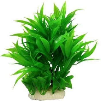 Kapoor pets Plants for Aquarium Decorations Green Plastic Plants Aquarium- Plant Aquarium Plant Anchor ((Plant Anchors1) Hight 8 INCH (B09773FPW7) Amazon Price History, Amazon Price Tracker