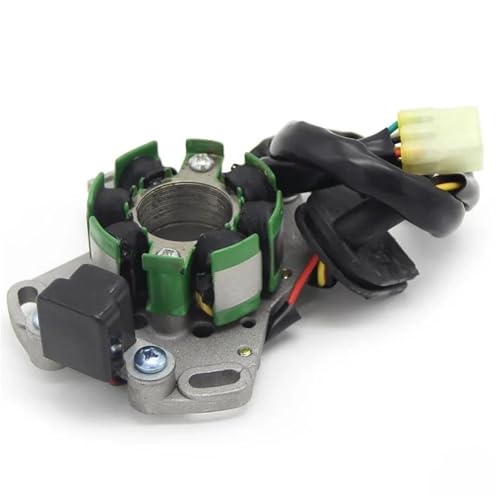 Bobine d'allumage stator résout les pannes de démarrage Suzuki RM125 quad