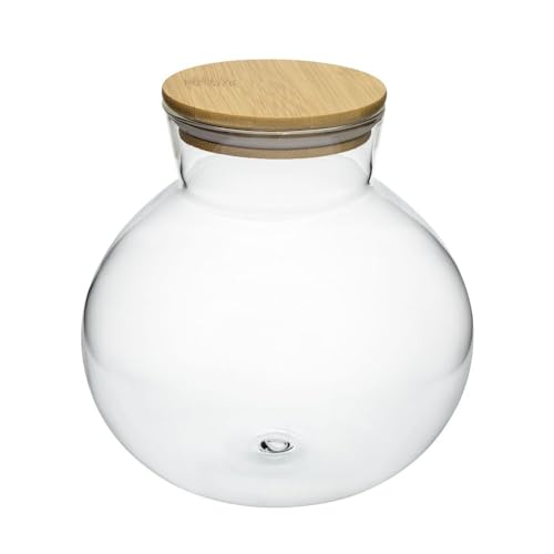 Anfora con coperchio in legno per Terrario in vetro cm185x180h miniecosistema in bottiglia