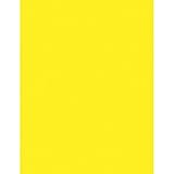 Pacon Corporation 104316 Neon Bond Paper, 24 lb, 100 Sheets, 8-1/2-Inch x11-Inch, Neon Yellow