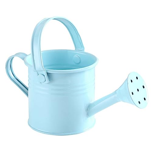 Regadera para jardín Mini regadera Vintage de Metal a la moda, hervidor de flores, olla de pulverización de agua con gran capacidad for niños, decoración del jardín del hogar Bidón de agua(Light blue)