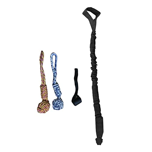 Qialexicon  AEghA oW[ nMO  C^NeBu eU[ ^O  ^^p GNTTCY & \vC j ރ[v , ubN