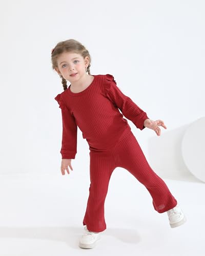 Image of Weebaby Toddler Girl Clothes Infant Girl Sweatsuit Baby Pant Set Outfits Fall Winter Clothing Little Clothes for Girl