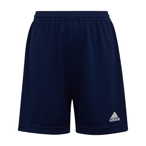 adidas Unisex niños Entrada 22 Shorts, Team Navy Blue 2, 11-12 Years