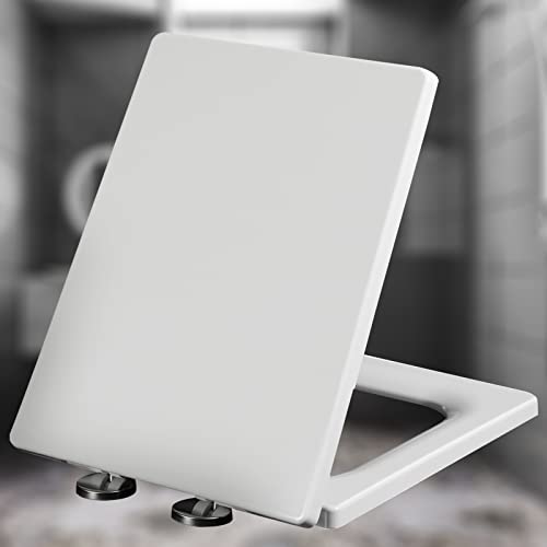 Tapa Wc Roca Dama Senso Blanco Marca Generic