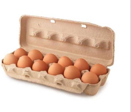Inditradition Reusable Egg Storage Carton Boxes (Pack of 10) | For 18 Eggs Each Box, Natural Pulp Paper Boxes (Brown)