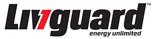Image of Livguard Digital Voltage Stabilizer 4kva (90V to 285V, Valid up to 1.5 ton AC) - Grey