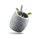 Siegvoll Verdampferschale Sauna aus Granit - 6,5 x 6,5 cm Sauna Ei für Mentholkristalle & Saunaöle - intensiver Duft beim Erhitzen - hitzebeständige Sauna Zubehör - stilvolle Deko & Geschenkidee