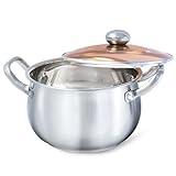 HOUSLUX Topf Plus Grande marmite avec couvercle en verre Convient à tous les types de plaques de cuisson (21 cm)