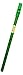 Waltons Light Green Whistle Tube - Fun & Colorful Tin Whistle - Key of D - Irish & International Instrument - Perfect for Beginners