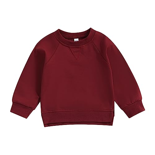 Toddler Baby Boy Girl Clothes Solid Color Crewneck Sweatshirt Long Sleeve Pullover T Shirt Tops Fall Winter Outfit