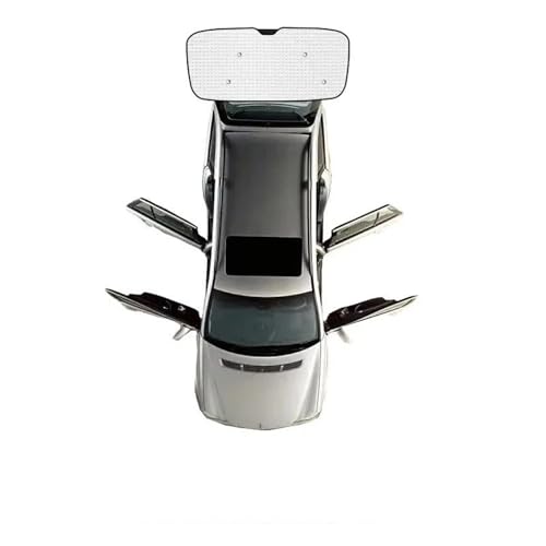 Pare-soleil voiture Hyundai Starex H1 2007-2017 protection UV arrière