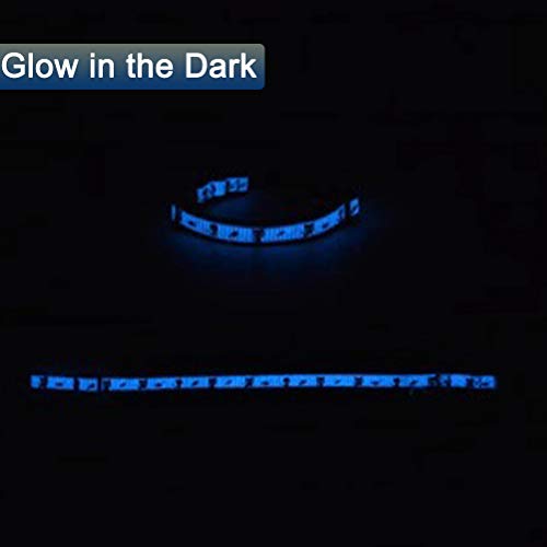 Image of 2 Pack Glow in The Dark Cat Collar with Bell Breakaway Safety Cat Puppy Collars with Pendant Purple and Light Blue