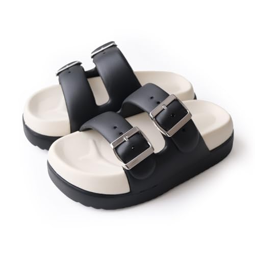 [A~A~] T_ _uxg EVAT_ y Jo[T_ V[T_  fB[X C (ubN,23.0cm) CN127