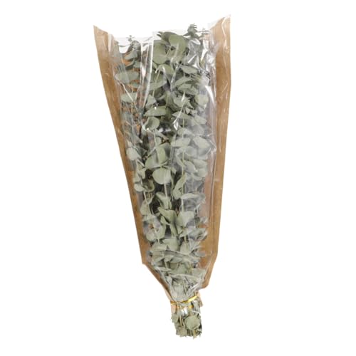 Ramo de Lavanda y Eucalipto Secos para Ducha miniatura 7