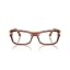 Terra Di Siena/Transitions Clear to Brown