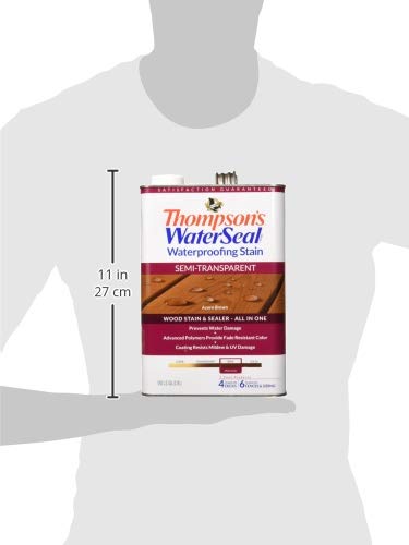 https://m.media-amazon.com/images/I/31Zzh2UIcRL._SL500_.jpg