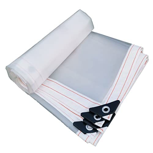 dsbdrki Transparent Plastic Tarpaulin Outdoor - Flower Plant Sheet Covers - Strengthen Windproof Cover, Easy To Attach, For Winter Plants Furniture (Size : 250X300Cm)