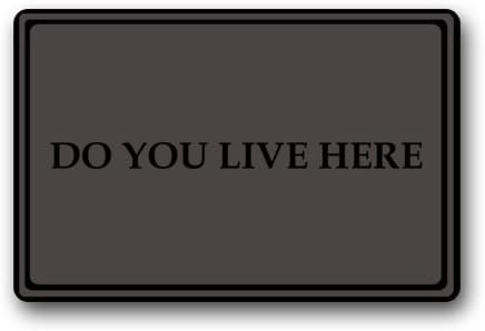 Do You Live Here Durable Heat-resistant Indoor/Outdoor Doormat