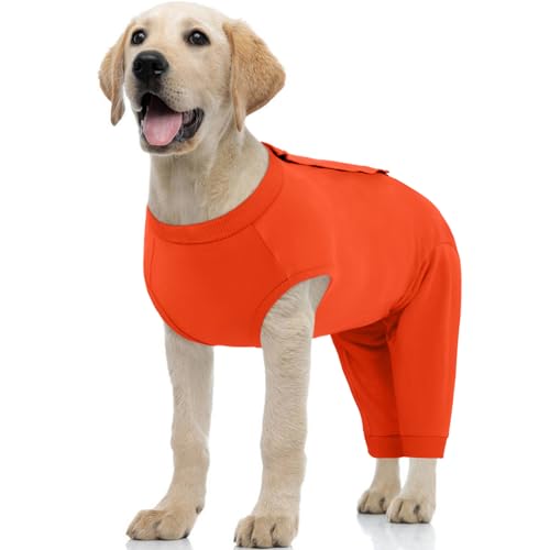 Image of Kuoser Dog Recovery Suit with Anti Licking Rear Leg Sleeve, Orange M | Abdominal Dog Surgical Suit with Pants Cover Protect Wounds, Dogs Elbow Protector Soft Pet Surgery Onesie Cone Alternative