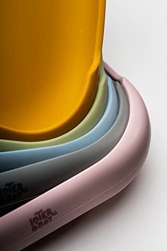 Interbaby Piatto piano in silicone rosa con