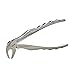 Mini Bird Beak Dental Extraction Forceps