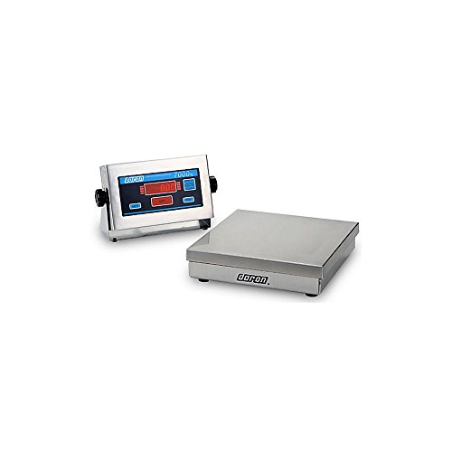 Báscula de banco digital Doran 15" 50 lb de capacidad